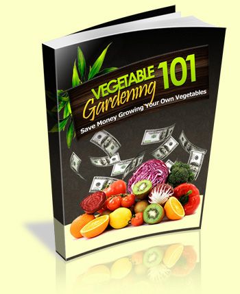 Vegetable Gardening