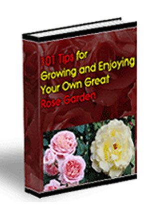 Rose Garden